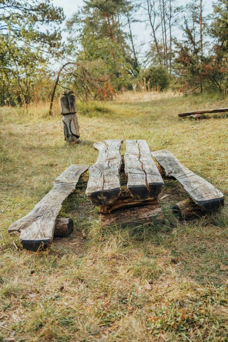 Holztisch mit Bänken in einer natürlichen Umgebung mit Bäumen im Hintergrund.