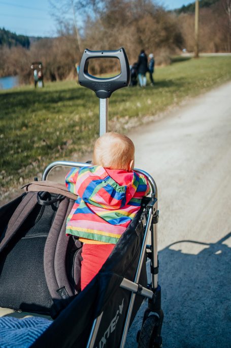 Ein Kleinkind sitzt in einem Kinderwagen und blickt auf einen Weg entlang.