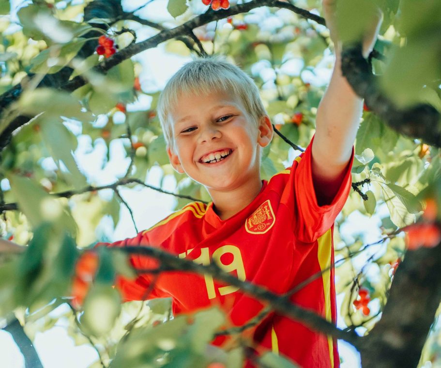 fotografin-wuerzburg Junge in rotem Trikot klettert fröhlich in einem Kirschbaum beim Grundschul-Fotoshooting in Würzburg.