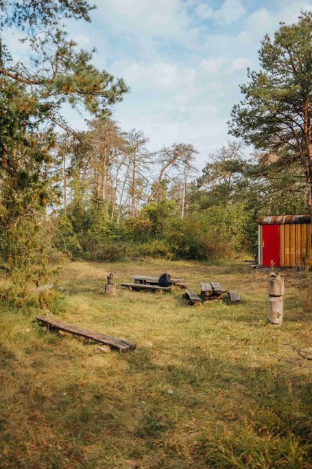 Ruhige Waldlichtung mit Holzstämmen und einer roten Holzhütte im Hintergrund.