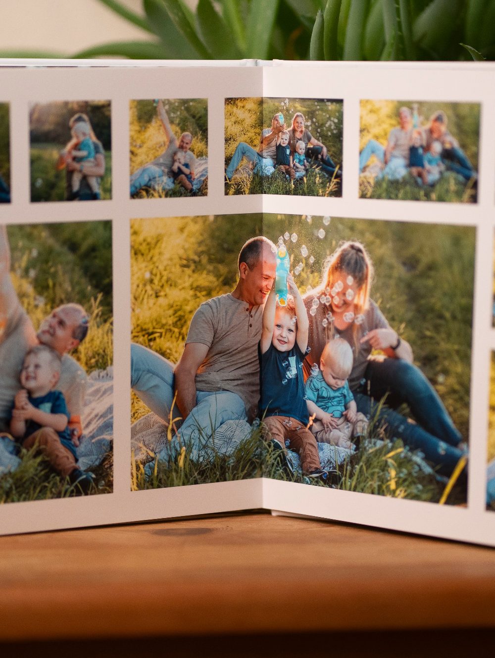 Familienfotos im Freien, die eine glückliche Zeit zusammen zeigen.